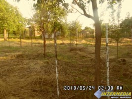 casa-cu-gradina-si-anexede-de-vanzare-in-oarda-83000-euro-1